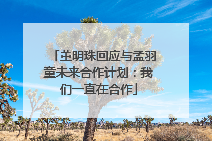董明珠回应与孟羽童未来合作计划：我们一直在合作